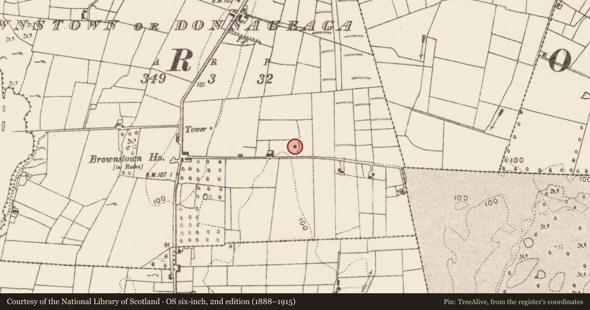 Ordnance Survey six-inch map, 2nd edition (1888–1915) covering the location of Ringfort - rath, Brownstown Or Donnageaga, County Mayo, with a pin at the register's coordinates