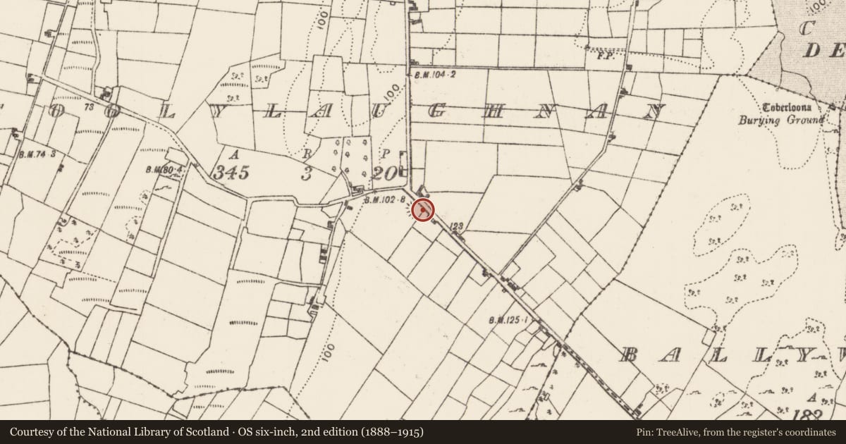 Ordnance Survey six-inch map, 2nd edition (1888–1915) covering the location of Ringfort - rath, Coolylaughnan, County Mayo, with a pin at the register's coordinates
