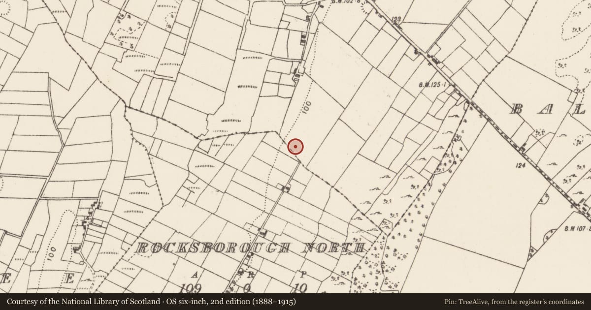 Ordnance Survey six-inch map, 2nd edition (1888–1915) covering the location of Enclosure, Rocksborough North, Coolylaughnan, County Mayo, with a pin at the register's coordinates