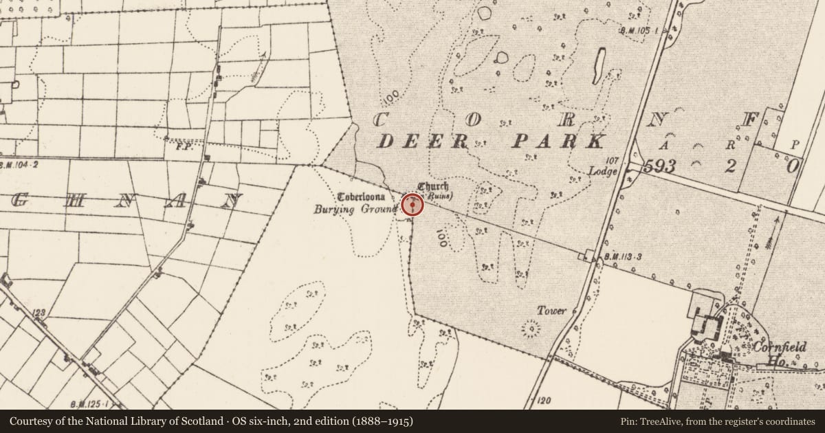 Ordnance Survey six-inch map, 2nd edition (1888–1915) covering the location of Children's burial ground, Ballywalter (Kilmaine By., Robeen Par.), County Mayo, with a pin at the register's coordinates