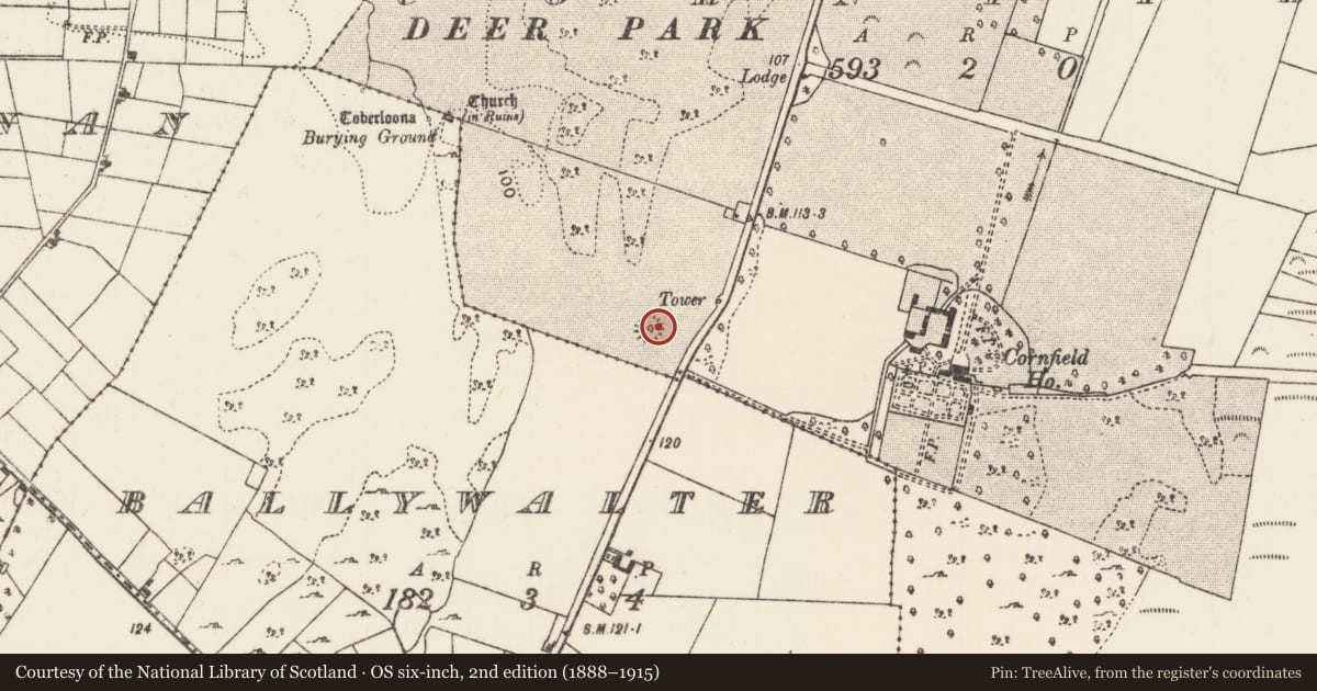 Ordnance Survey six-inch map, 2nd edition (1888–1915) covering the location of Ringfort - rath, Cornfield, County Mayo, with a pin at the register's coordinates
