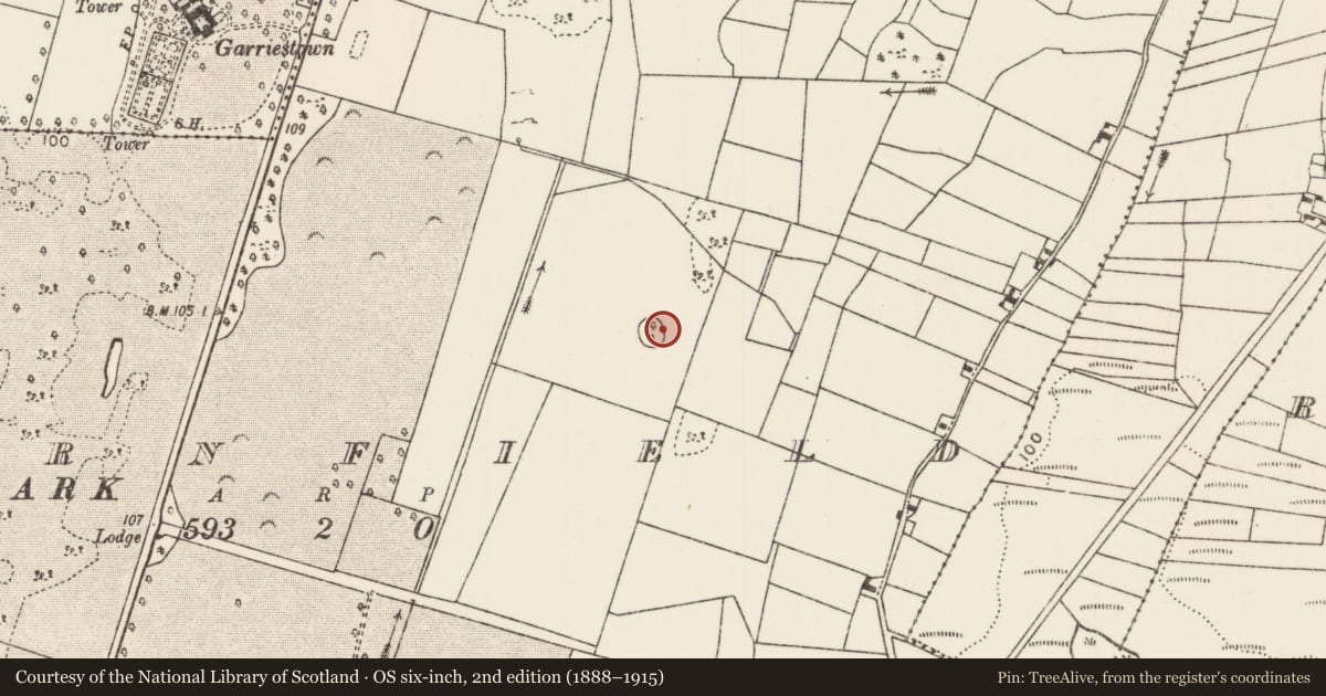 Ordnance Survey six-inch map, 2nd edition (1888–1915) covering the location of Ringfort - rath, Cornfield, County Mayo, with a pin at the register's coordinates