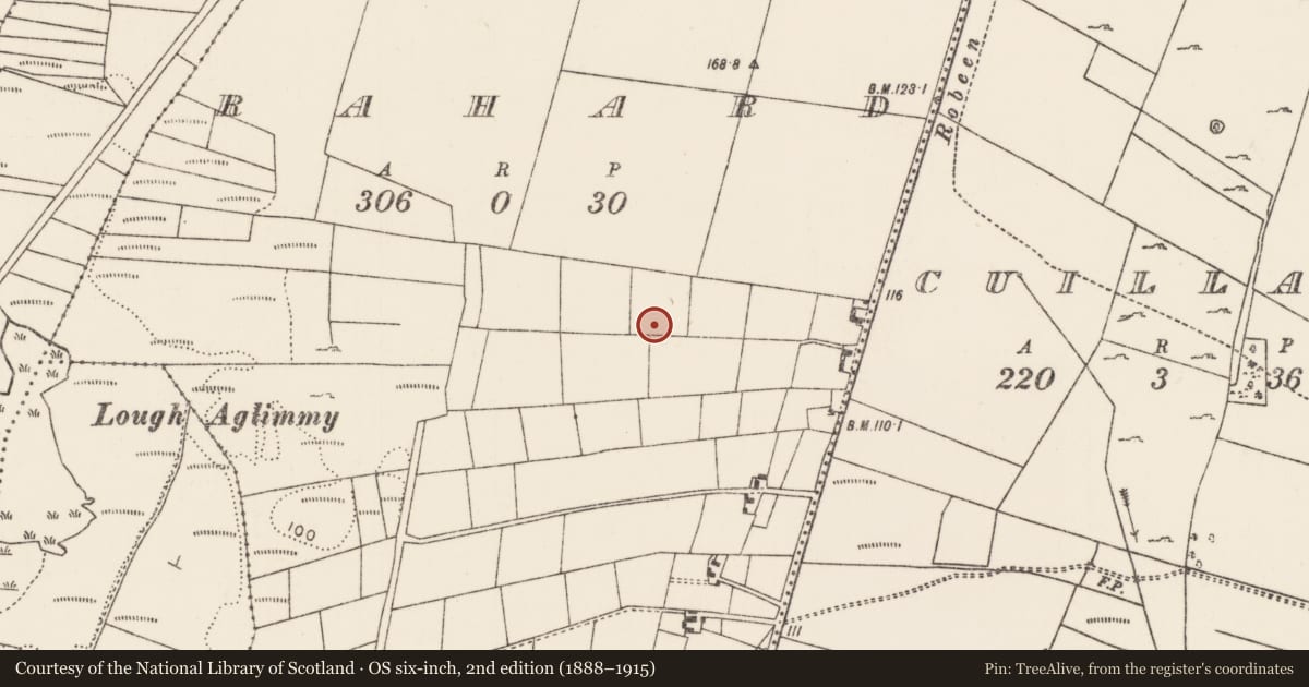 Ordnance Survey six-inch map, 2nd edition (1888–1915) covering the location of Standing stone - pair, Rahard (Kilmaine By., Robeen Par.), County Mayo, with a pin at the register's coordinates