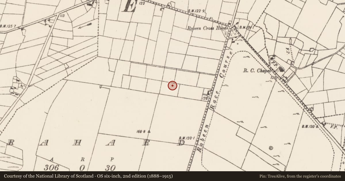 Ordnance Survey six-inch map, 2nd edition (1888–1915) covering the location of Enclosure, Rahard (Kilmaine By., Robeen Par.), County Mayo, with a pin at the register's coordinates