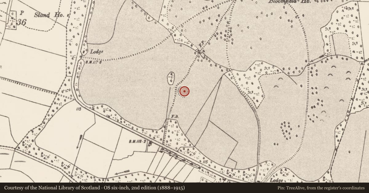 Ordnance Survey six-inch map, 2nd edition (1888–1915) covering the location of Ringfort - rath, Bloomfield, County Mayo, with a pin at the register's coordinates