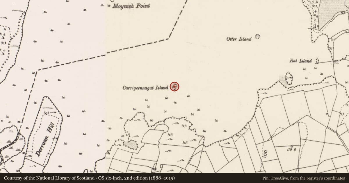 Ordnance Survey six-inch map, 2nd edition (1888–1915) covering the location of Crannog, Lough Carra, County Mayo, with a pin at the register's coordinates