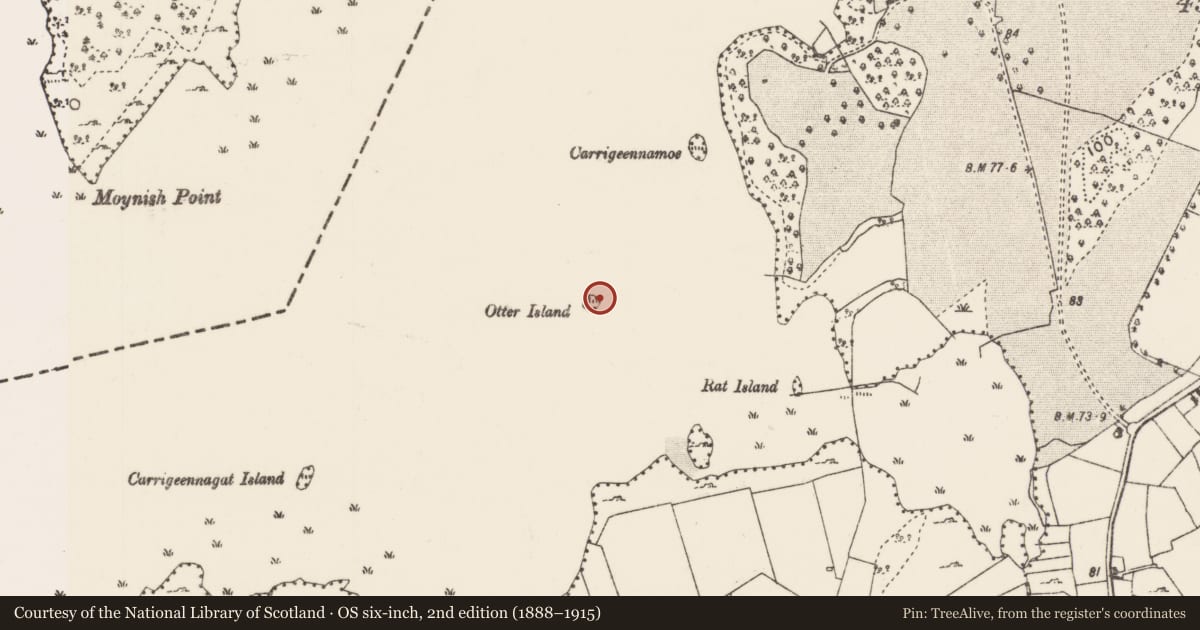 Ordnance Survey six-inch map, 2nd edition (1888–1915) covering the location of Crannog, Lough Carra, County Mayo, with a pin at the register's coordinates