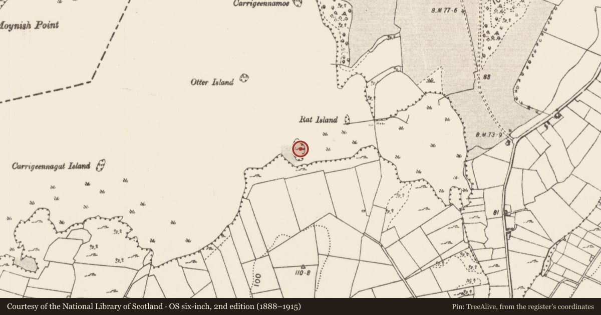 Ordnance Survey six-inch map, 2nd edition (1888–1915) covering the location of Crannog, Lough Carra, County Mayo, with a pin at the register's coordinates