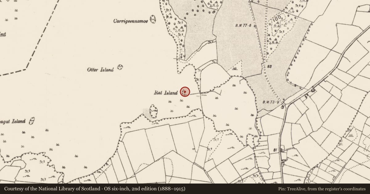 Ordnance Survey six-inch map, 2nd edition (1888–1915) covering the location of Crannog, Lough Carra, County Mayo, with a pin at the register's coordinates
