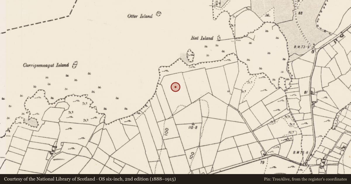 Ordnance Survey six-inch map, 2nd edition (1888–1915) covering the location of Ringfort - rath, Cloonkerry, County Mayo, with a pin at the register's coordinates