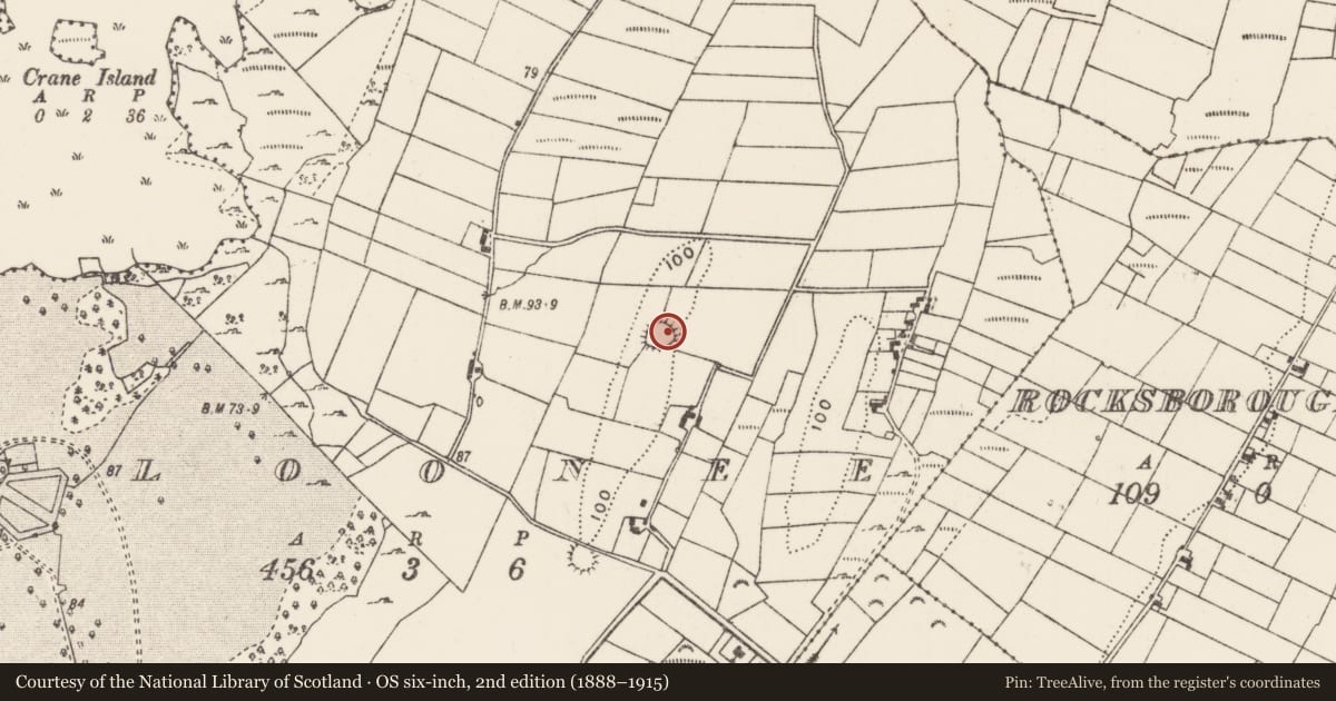 Ordnance Survey six-inch map, 2nd edition (1888–1915) covering the location of Ringfort - rath, Cloonee, County Mayo, with a pin at the register's coordinates