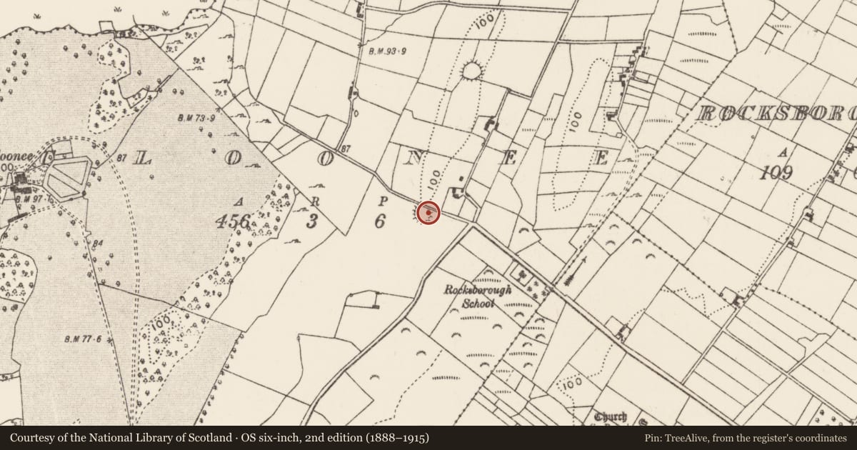 Ordnance Survey six-inch map, 2nd edition (1888–1915) covering the location of Ringfort - rath, Cloonee, County Mayo, with a pin at the register's coordinates