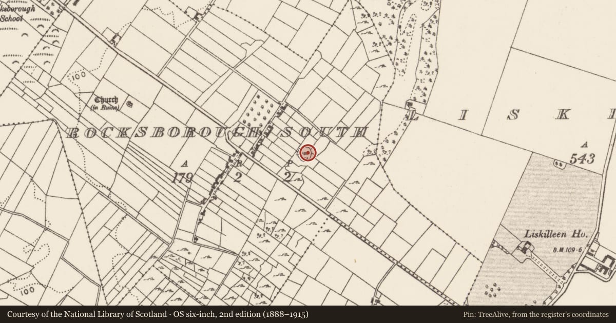 Ordnance Survey six-inch map, 2nd edition (1888–1915) covering the location of Ringfort - cashel, Rocksborough South, County Mayo, with a pin at the register's coordinates