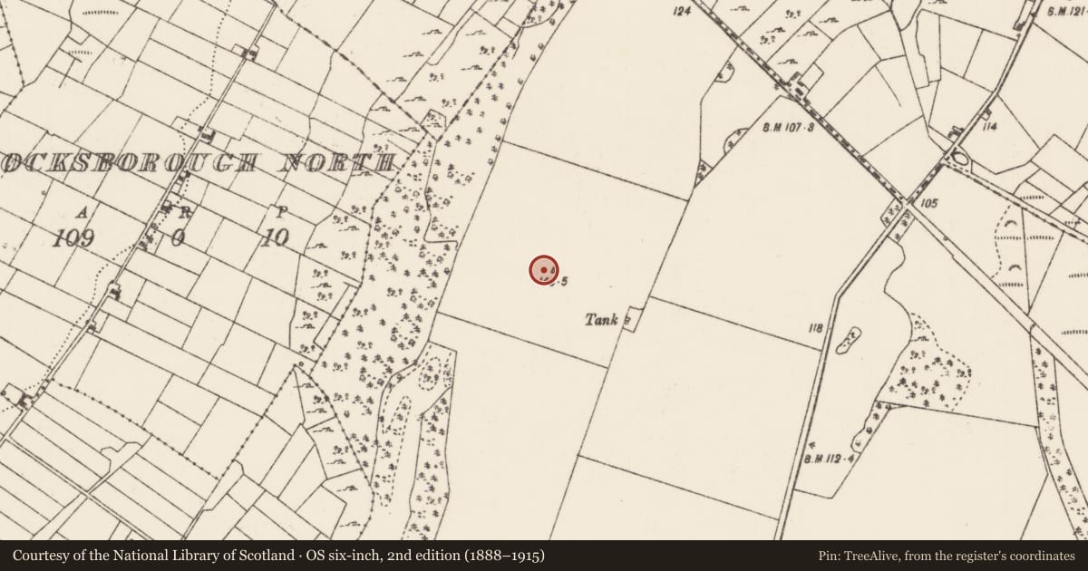 Ordnance Survey six-inch map, 2nd edition (1888–1915) covering the location of Standing stone, Liskilleen, County Mayo, with a pin at the register's coordinates
