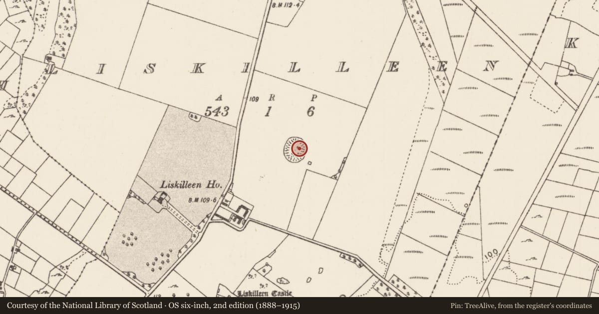 Ordnance Survey six-inch map, 2nd edition (1888–1915) covering the location of Ringfort - rath, Liskilleen, County Mayo, with a pin at the register's coordinates