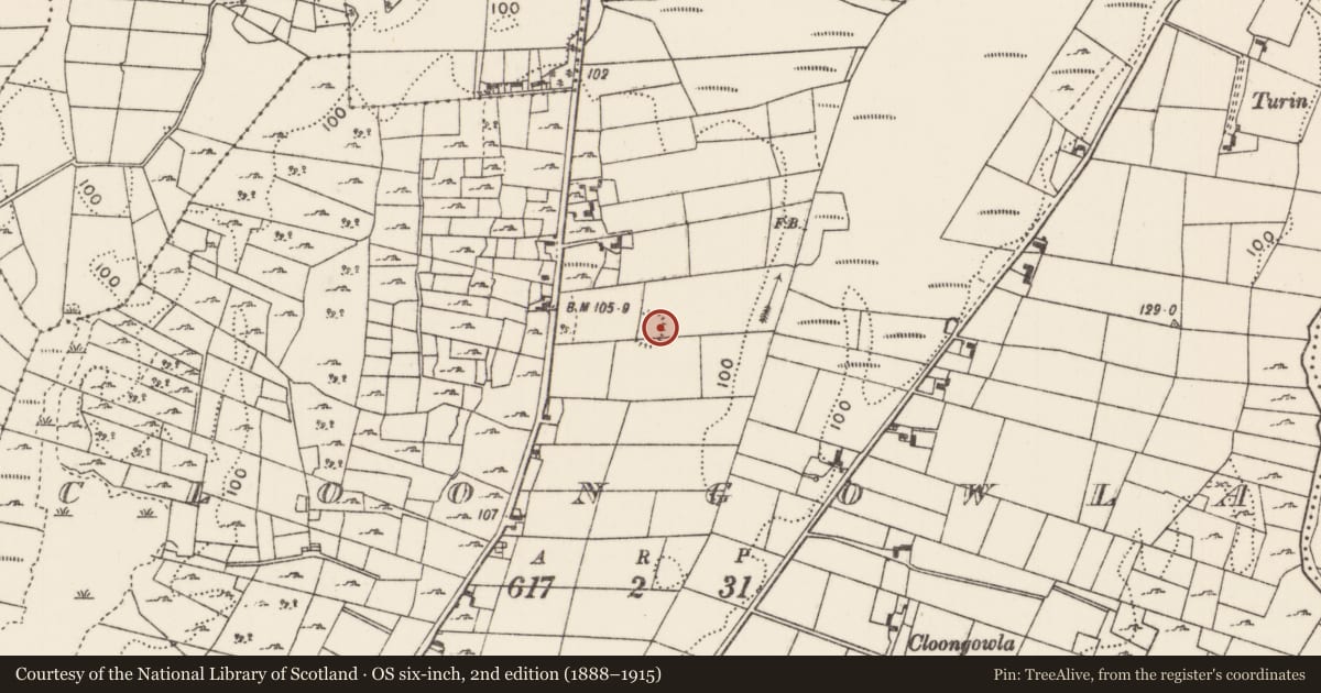 Ordnance Survey six-inch map, 2nd edition (1888–1915) covering the location of Ringfort - rath, Cloongowla, County Mayo, with a pin at the register's coordinates
