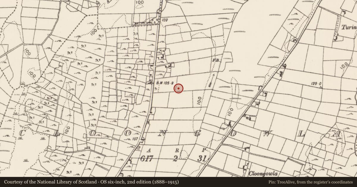 Ordnance Survey six-inch map, 2nd edition (1888–1915) covering the location of Souterrain, Cloongowla, County Mayo, with a pin at the register's coordinates
