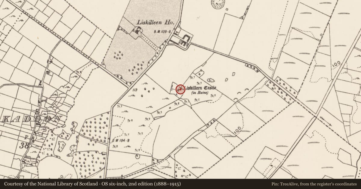 Ordnance Survey six-inch map, 2nd edition (1888–1915) covering the location of Castle - unclassified, Liskilleen, County Mayo, with a pin at the register's coordinates