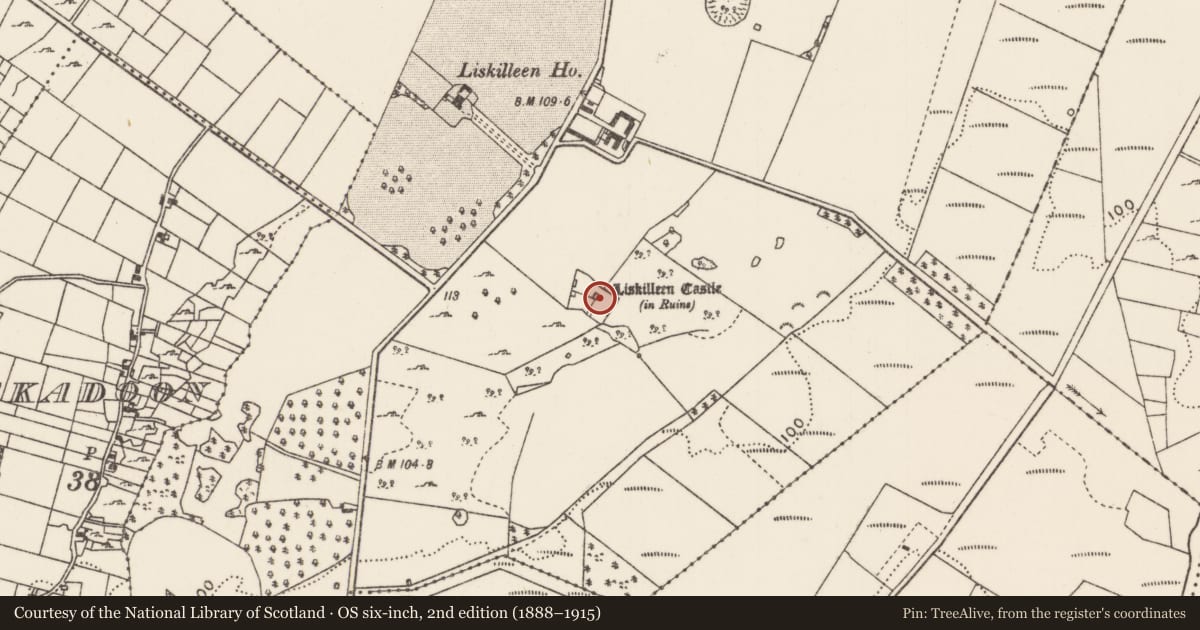 Ordnance Survey six-inch map, 2nd edition (1888–1915) covering the location of Earthwork, Liskilleen, County Mayo, with a pin at the register's coordinates