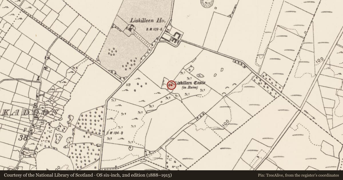 Ordnance Survey six-inch map, 2nd edition (1888–1915) covering the location of Bawn, Liskilleen, County Mayo, with a pin at the register's coordinates