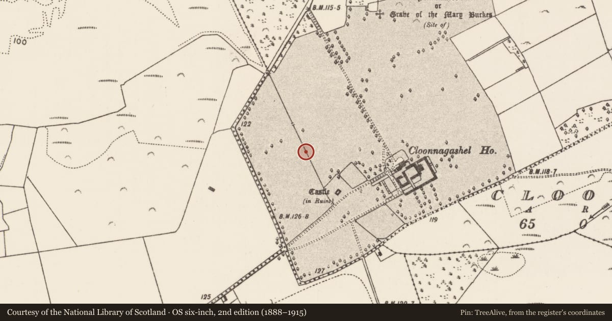 Ordnance Survey six-inch map, 2nd edition (1888–1915) covering the location of Linear earthwork, Cloonnagashel, County Mayo, with a pin at the register's coordinates