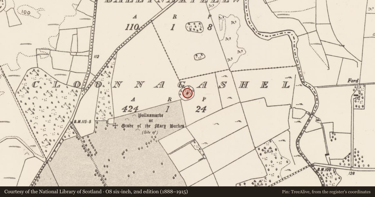 Ordnance Survey six-inch map, 2nd edition (1888–1915) covering the location of Ringfort - cashel, Cloonnagashel, County Mayo, with a pin at the register's coordinates