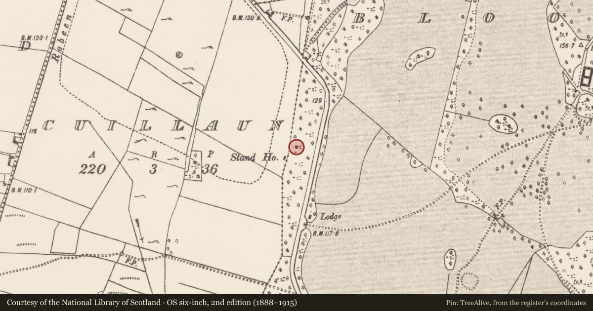 Ordnance Survey six-inch map, 2nd edition (1888–1915) covering the location of Enclosure, Bloomfield, County Mayo, with a pin at the register's coordinates