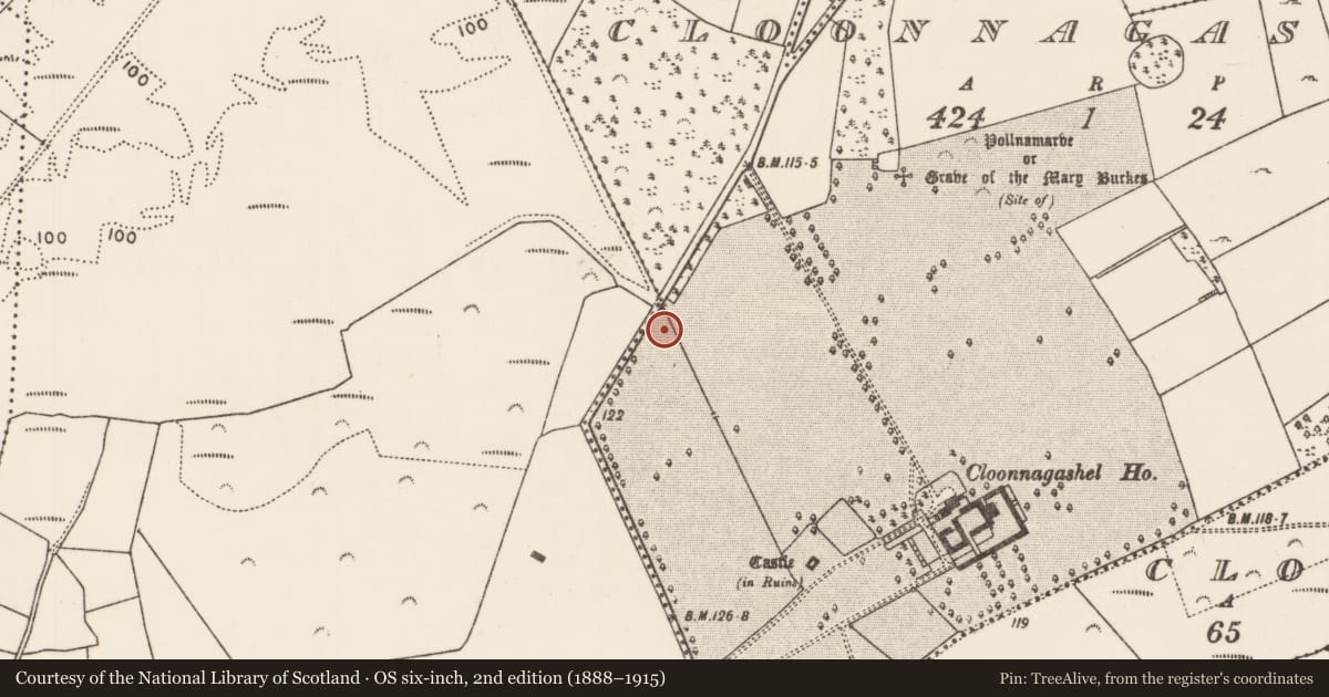 Ordnance Survey six-inch map, 2nd edition (1888–1915) covering the location of Burnt mound, Cloonnagashel, County Mayo, with a pin at the register's coordinates