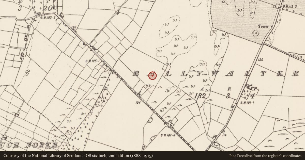 Ordnance Survey six-inch map, 2nd edition (1888–1915) covering the location of Souterrain, Ballywalter (Kilmaine By., Robeen Par.), County Mayo, with a pin at the register's coordinates