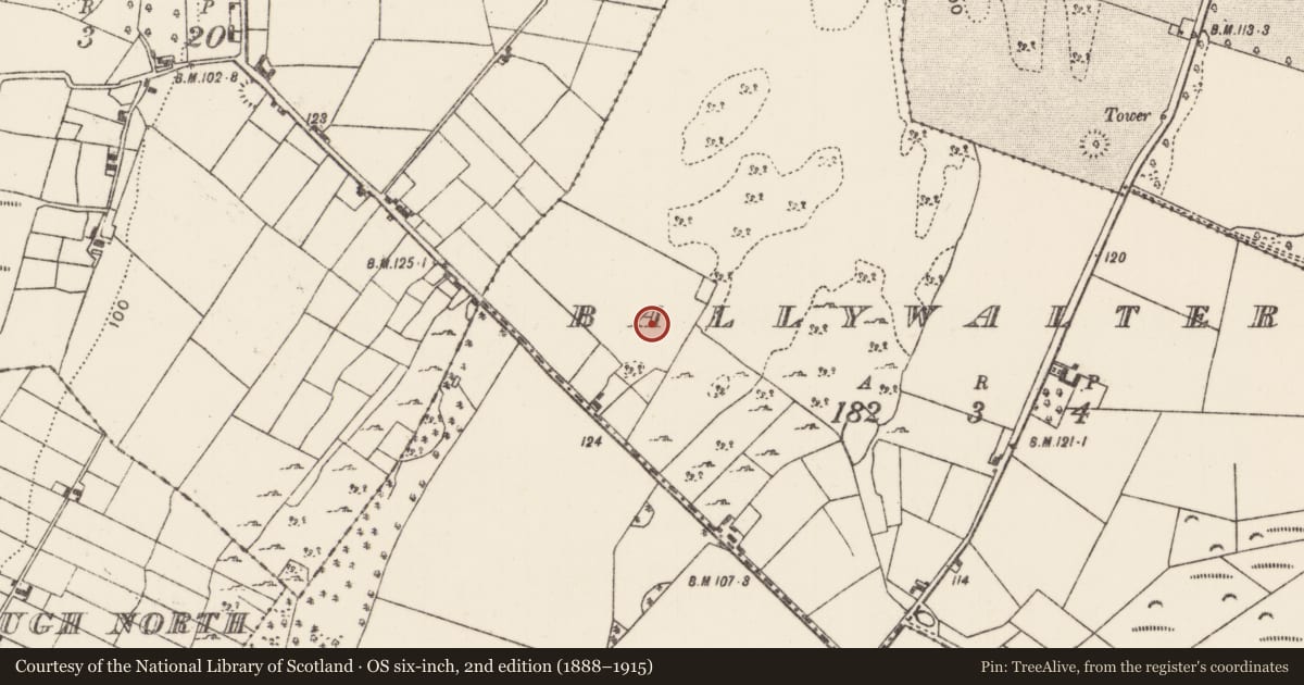 Ordnance Survey six-inch map, 2nd edition (1888–1915) covering the location of Hut site, Ballywalter (Kilmaine By., Robeen Par.), County Mayo, with a pin at the register's coordinates