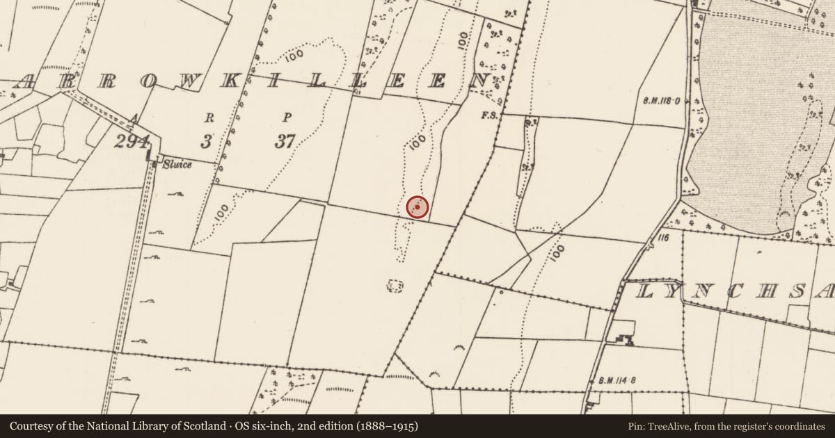 Ordnance Survey six-inch map, 2nd edition (1888–1915) covering the location of Ringfort - rath, Carrowkilleen, County Mayo, with a pin at the register's coordinates