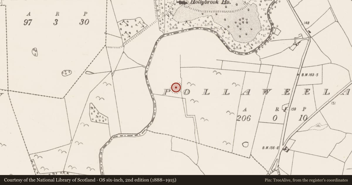 Ordnance Survey six-inch map, 2nd edition (1888–1915) covering the location of Ringfort - rath, Pollaweela, County Mayo, with a pin at the register's coordinates