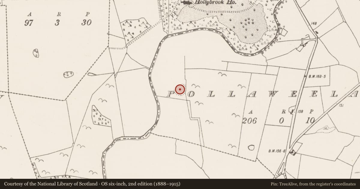 Ordnance Survey six-inch map, 2nd edition (1888–1915) covering the location of Souterrain, Pollaweela, County Mayo, with a pin at the register's coordinates