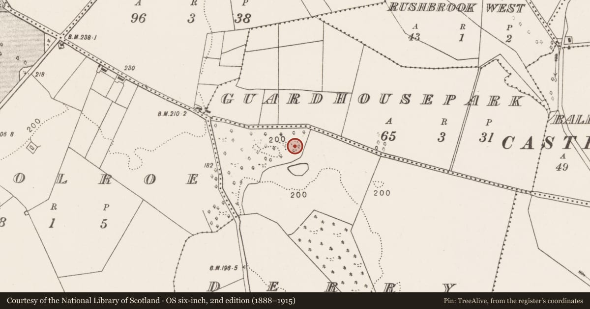 Ordnance Survey six-inch map, 2nd edition (1888–1915) covering the location of Enclosure, Derry (Clanmorris By., Crossboyne Par.), County Mayo, with a pin at the register's coordinates