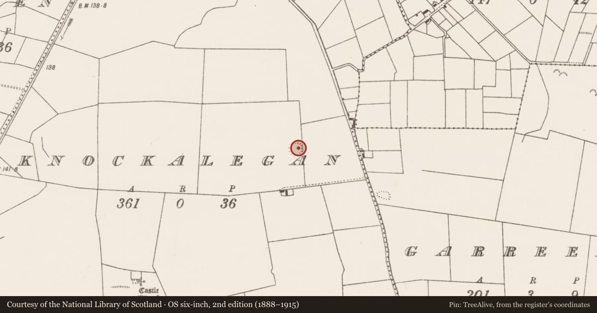 Ordnance Survey six-inch map, 2nd edition (1888–1915) covering the location of Ringfort - rath, Knockalegan, County Mayo, with a pin at the register's coordinates