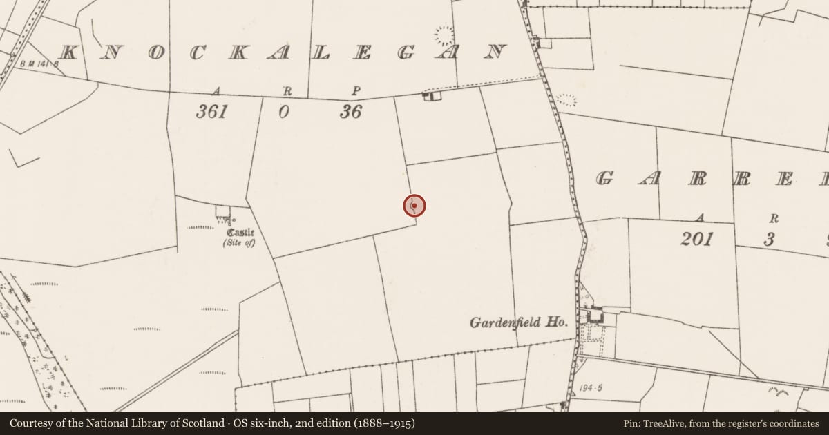Ordnance Survey six-inch map, 2nd edition (1888–1915) covering the location of Enclosure, Knockalegan, County Mayo, with a pin at the register's coordinates
