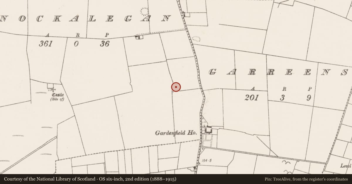 Ordnance Survey six-inch map, 2nd edition (1888–1915) covering the location of Enclosure, Knockalegan, County Mayo, with a pin at the register's coordinates