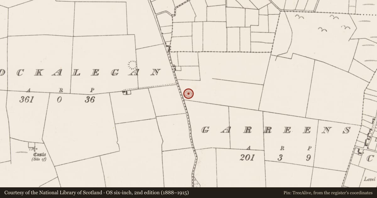 Ordnance Survey six-inch map, 2nd edition (1888–1915) covering the location of Enclosure, Garreens, County Mayo, with a pin at the register's coordinates