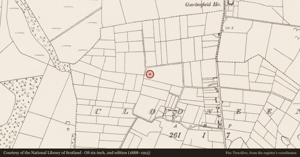 Ordnance Survey six-inch map, 2nd edition (1888–1915) covering the location of Ringfort - rath, Clooneen, County Mayo, with a pin at the register's coordinates