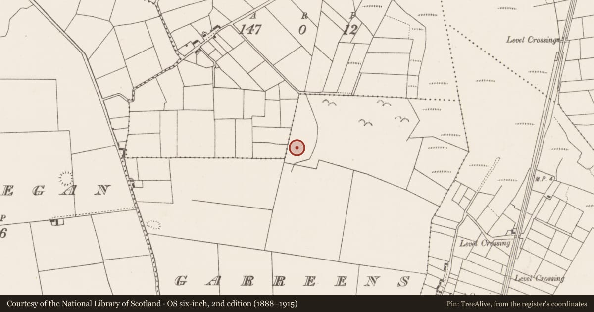 Ordnance Survey six-inch map, 2nd edition (1888–1915) covering the location of Enclosure, Garreens, County Mayo, with a pin at the register's coordinates