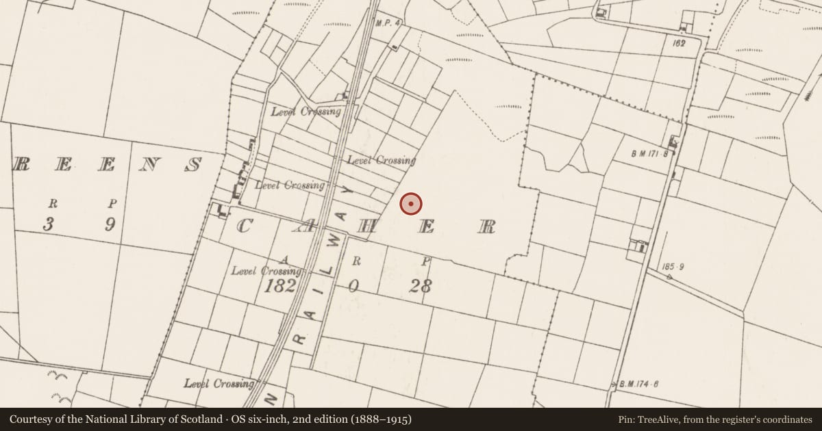Ordnance Survey six-inch map, 2nd edition (1888–1915) covering the location of Enclosure, Caher (Kilmaine By., Kilcommon Par.), County Mayo, with a pin at the register's coordinates