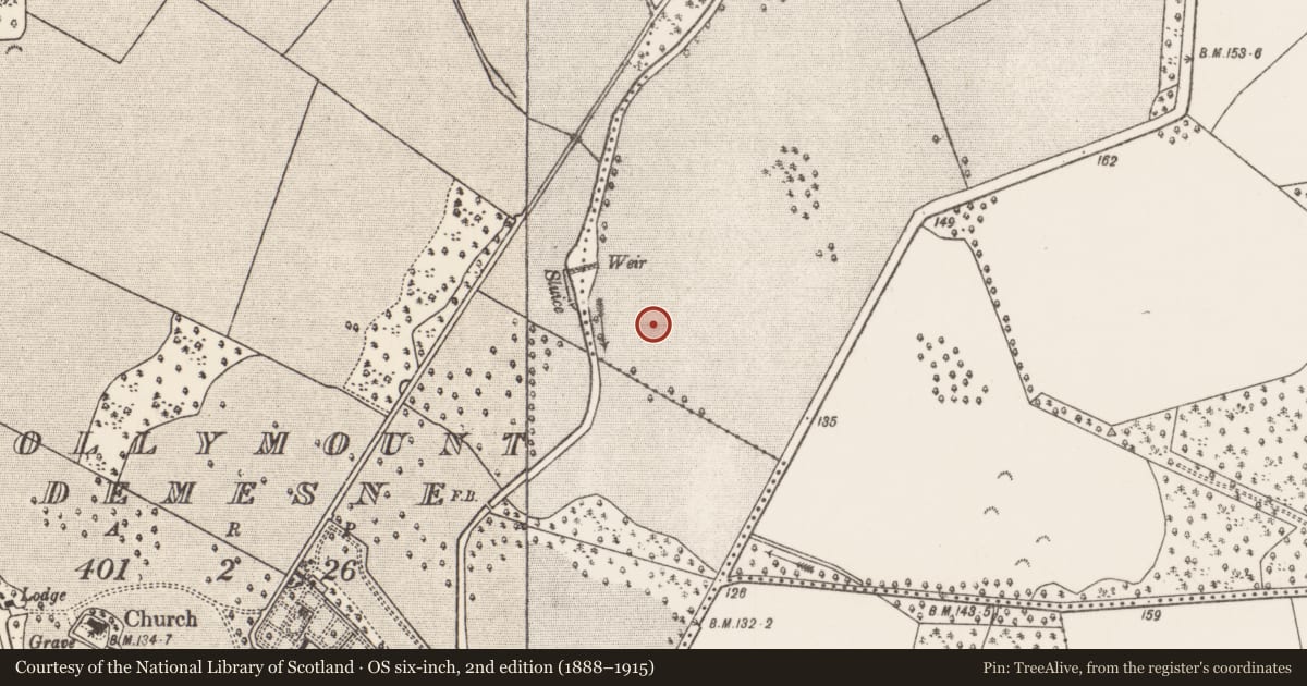 Ordnance Survey six-inch map, 2nd edition (1888–1915) covering the location of Mound, Lehinch Demesne, County Mayo, with a pin at the register's coordinates