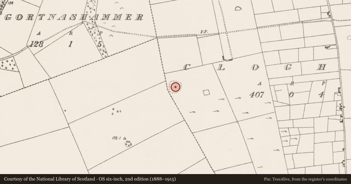 Ordnance Survey six-inch map, 2nd edition (1888–1915) covering the location of Moated site, Clogher, County Mayo, with a pin at the register's coordinates