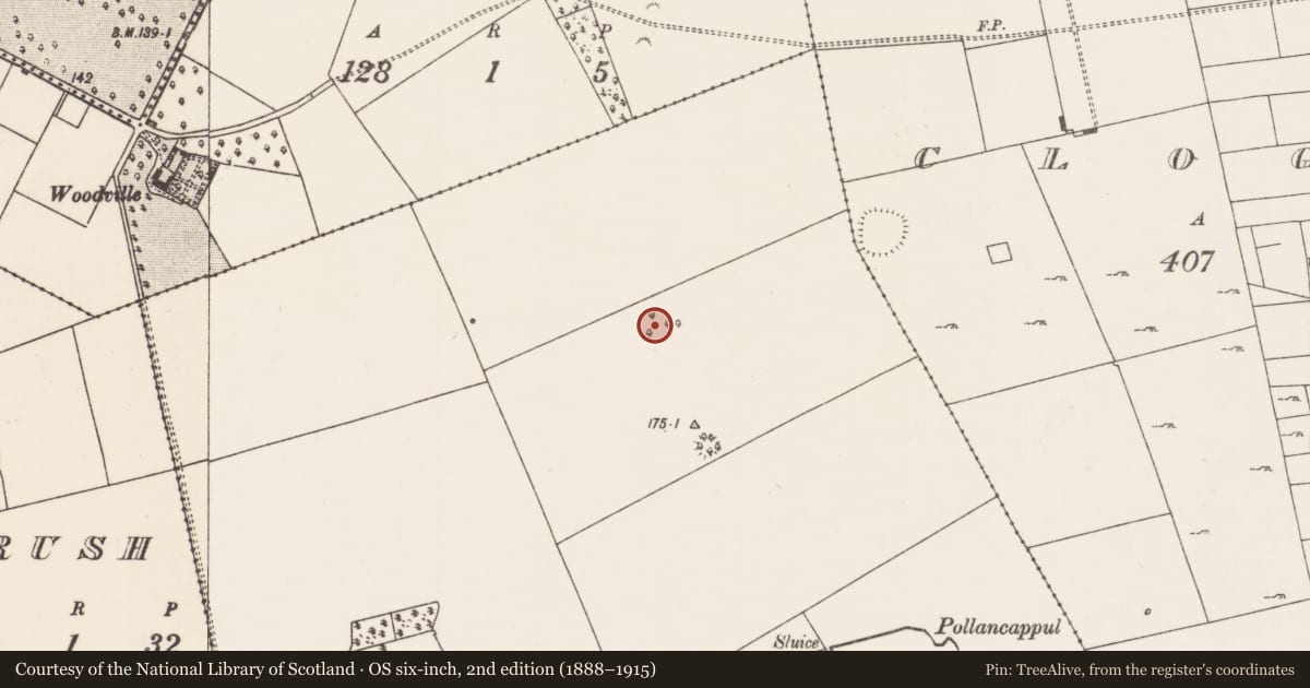 Ordnance Survey six-inch map, 2nd edition (1888–1915) covering the location of Ringfort - rath, Robeenard, County Mayo, with a pin at the register's coordinates