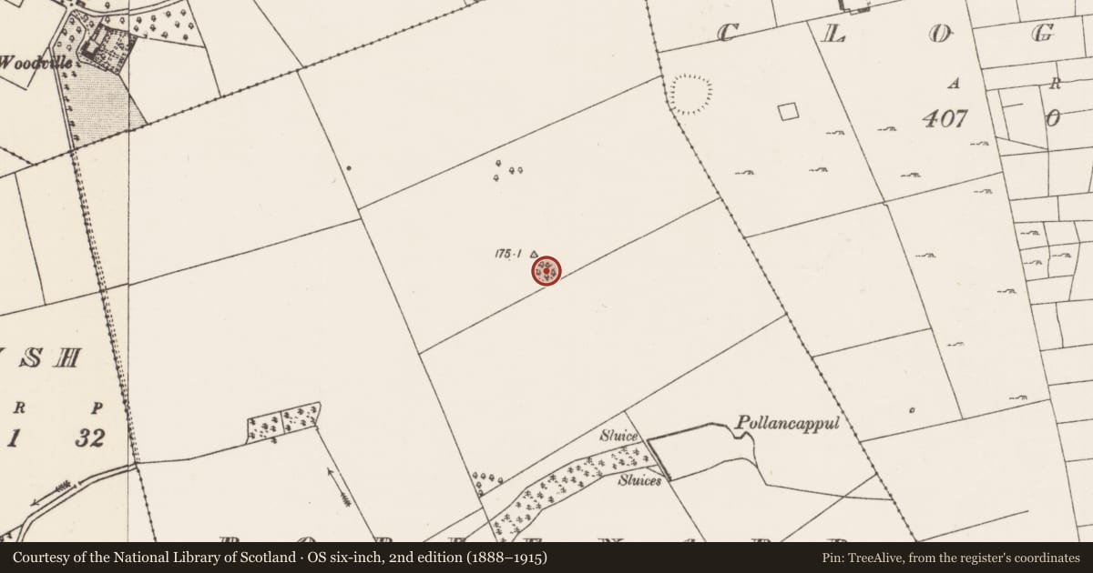 Ordnance Survey six-inch map, 2nd edition (1888–1915) covering the location of Ringfort - rath, Robeenard, County Mayo, with a pin at the register's coordinates