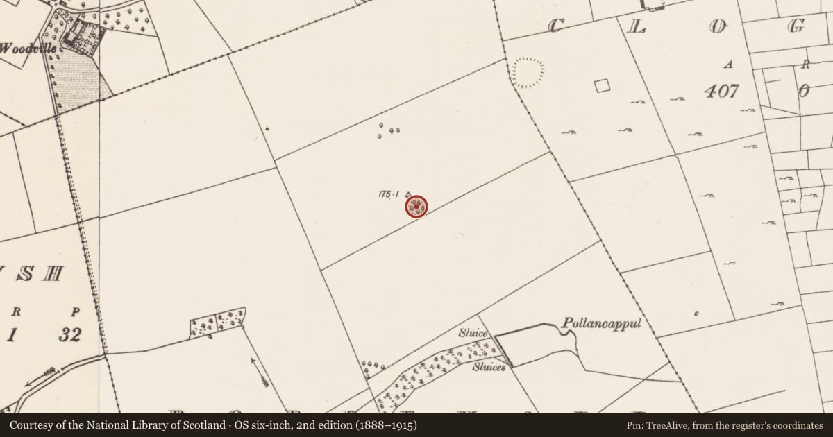 Ordnance Survey six-inch map, 2nd edition (1888–1915) covering the location of Souterrain, Robeenard, County Mayo, with a pin at the register's coordinates