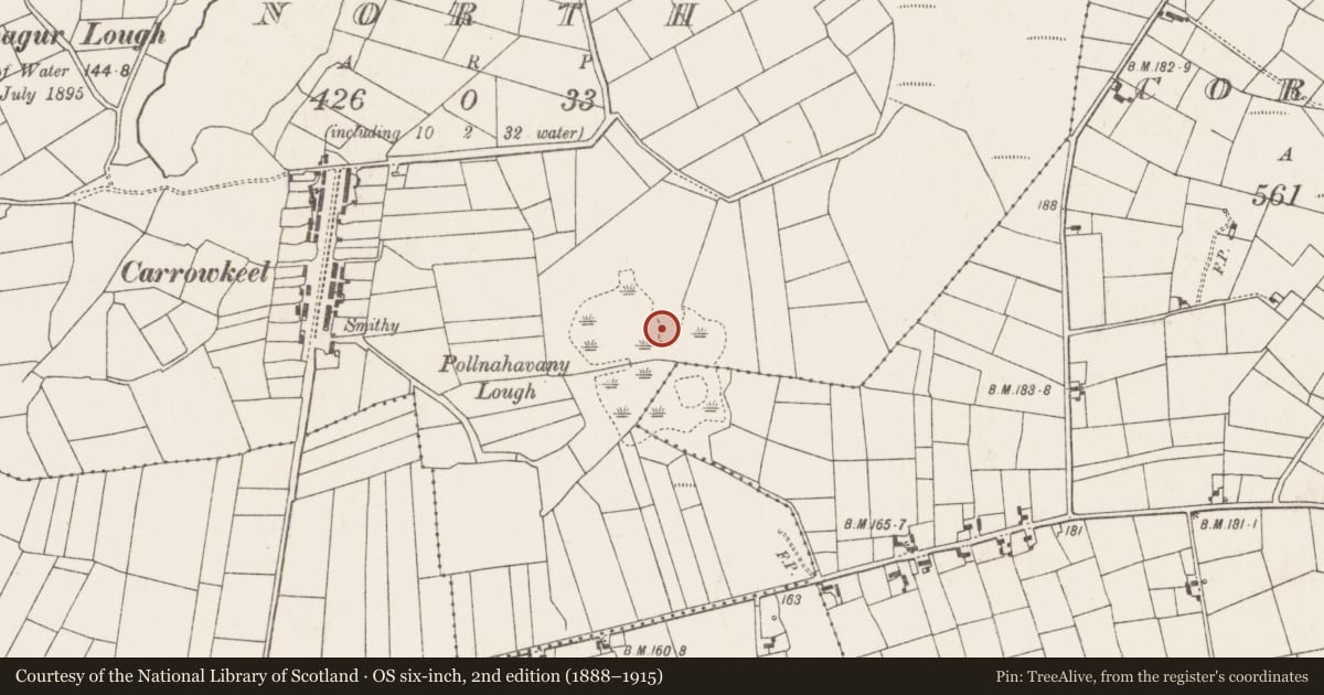 Ordnance Survey six-inch map, 2nd edition (1888–1915) covering the location of Crannog, Carrowkeel North, County Mayo, with a pin at the register's coordinates