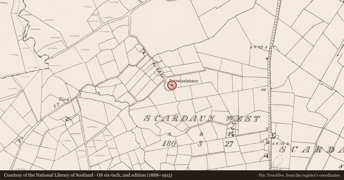 Ordnance Survey six-inch map, 2nd edition (1888–1915) covering the location of Enclosure, Scardaun West, County Mayo, with a pin at the register's coordinates