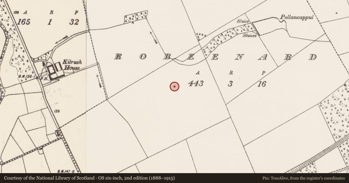 Ordnance Survey six-inch map, 2nd edition (1888–1915) covering the location of Enclosure, Robeenard, County Mayo, with a pin at the register's coordinates