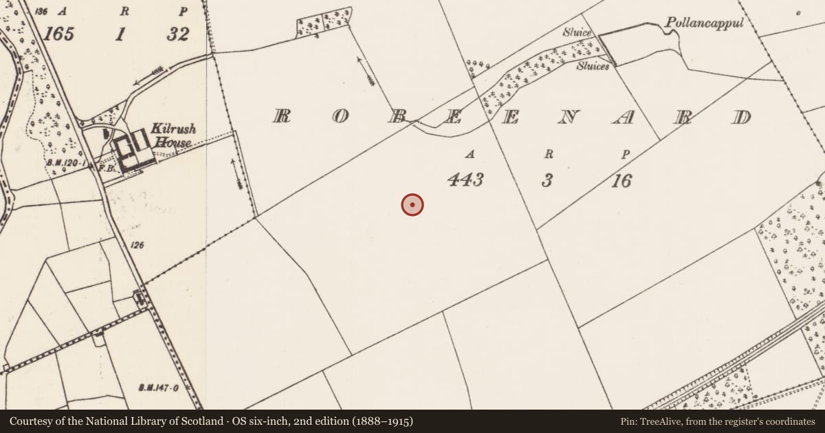 Ordnance Survey six-inch map, 2nd edition (1888–1915) covering the location of Field system, Robeenard, County Mayo, with a pin at the register's coordinates